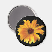 Gelbe Blume und Taube Magnet (Vorderseite/Rückseite)