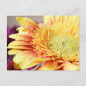 Gelbe Blume und Tröpfchen-Postkarte Postkarte (Vorderseite)