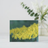 Gelbe Blumen #13 Postkarte (Stehend Vorderseite)