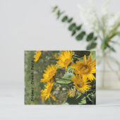 Gelbe Blumen Bärenpaw Mtns Postkarte (Stehend Vorderseite)