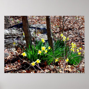 Gelbe Blumen Die Düfte im Foto-Poster aus Holz Poster