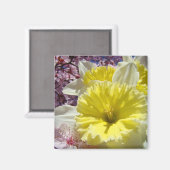 Gelbe Blumen Edelodien Spring Garden Magnet (Vorderseite/Rückseite)