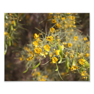 Gelbe Blumen Foto drucken