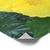 Gelbe Blumen Foto Poster (Ecke)