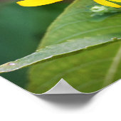 Gelbe Blumen Foto Poster (Ecke)