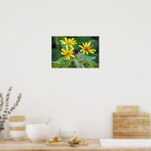 Gelbe Blumen Foto Poster (Küche)