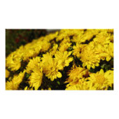 Gelbe Blumen Fotodruck (Vorne)