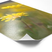Gelbe Blumen Fotodruck (Ecke)