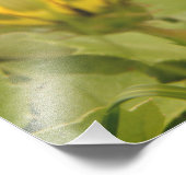 Gelbe Blumen Fotodruck (Ecke)