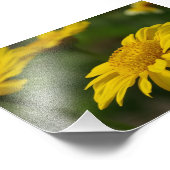 Gelbe Blumen Fotodruck (Ecke)