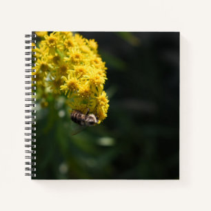 Gelbe Blumen Hummeln Natur Fotografie Notizblock