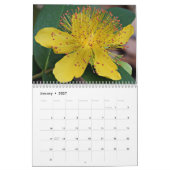 Gelbe Blumen Kalender (Jan 2027)