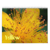 Gelbe Blumen Kalender (Titelbild)