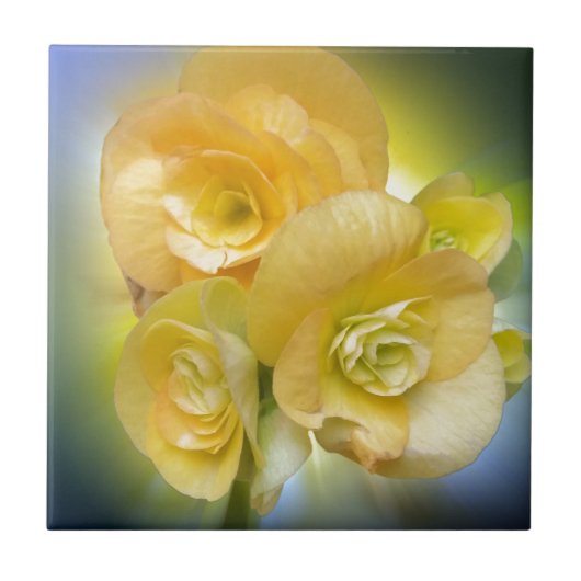 gelbe Blumen leuchten Fliese (Vorderseite)