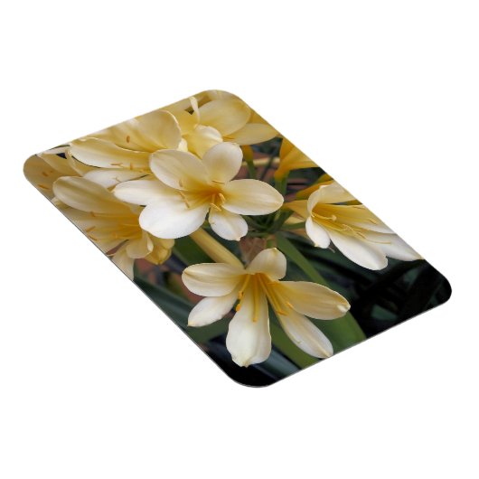 GELBE BLUMEN MAGNET (Rechte Seite)