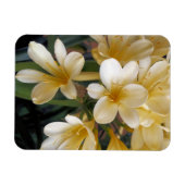 GELBE BLUMEN MAGNET (Horizontal)