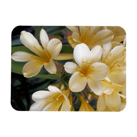 GELBE BLUMEN MAGNET (Horizontal)