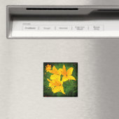 Gelbe Blumen Magnet (In Situ (Geschirrspüler))