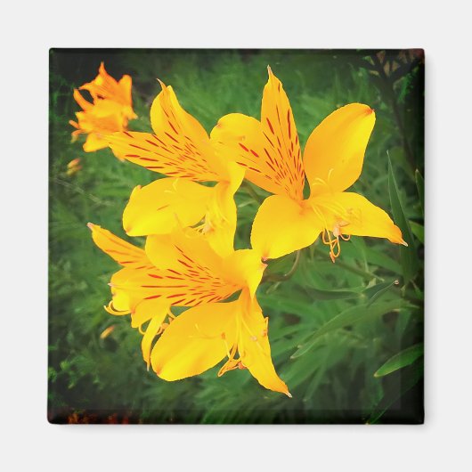 Gelbe Blumen Magnet (Vorne)