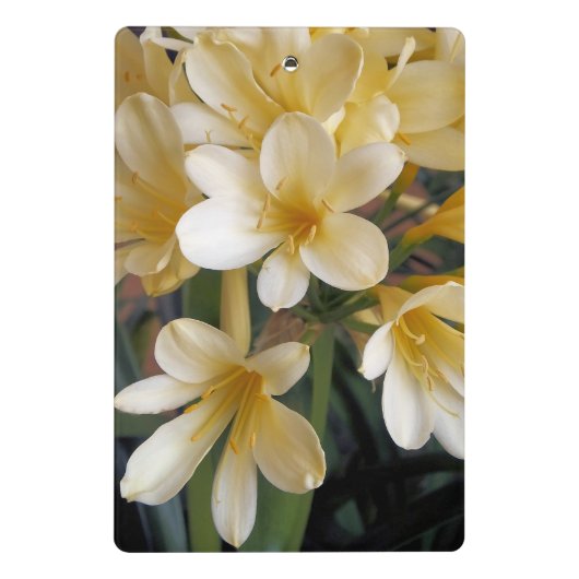 GELBE BLUMEN MINI KLEMMBRETT (Rückseite)