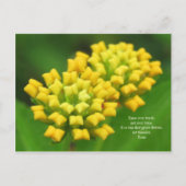 Gelbe Blumen mit Rumi Quote Postkarte (Vorderseite)