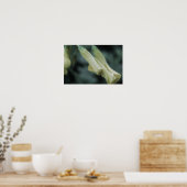 Gelbe Blumen - Morgentau Poster (Küche)