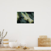 Gelbe Blumen - Morgentau Poster (Küche)