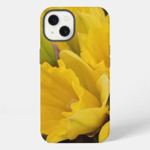 Gelbe Blumen Narzissen