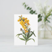 Gelbe Blumen, Pierre Joseph Redouté Postkarte (Stehend Vorderseite)