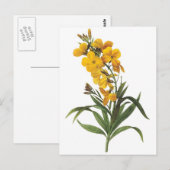 Gelbe Blumen, Pierre Joseph Redouté Postkarte (Vorne/Hinten)