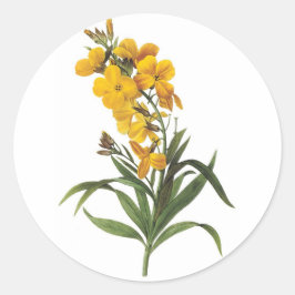 Gelbe Blumen, Pierre Joseph Redouté Runder Aufkleber