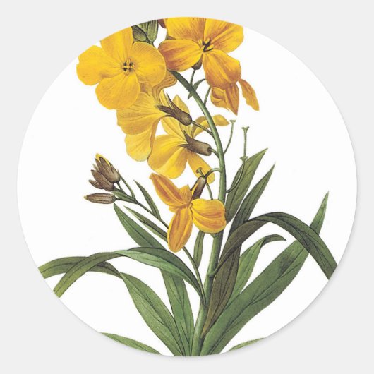 Gelbe Blumen, Pierre Joseph Redouté Runder Aufkleber (Vorderseite)