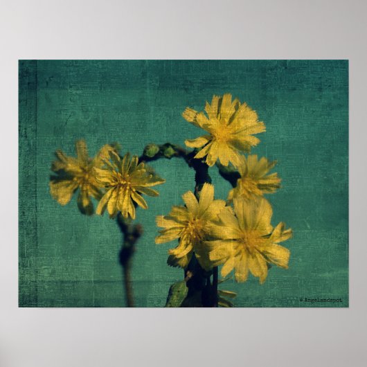 Gelbe Blumen Poster (Vorne)