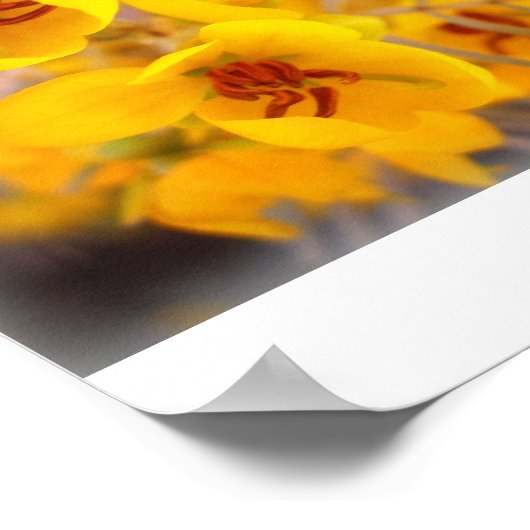 Gelbe Blumen Poster (Ecke)