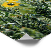 Gelbe Blumen Poster (Ecke)