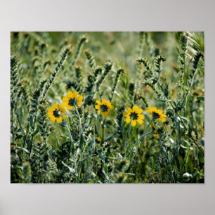 Gelbe Blumen Poster
