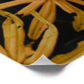 GELBE BLUMEN POSTER (Ecke)