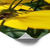 gelbe Blumen Poster (Ecke)