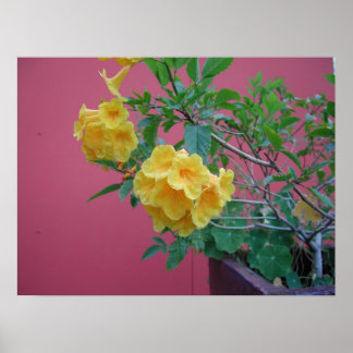 Gelbe Blumen Poster