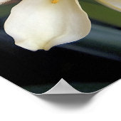 GELBE BLUMEN POSTER (Ecke)