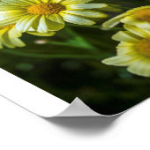 Gelbe Blumen Poster (Ecke)