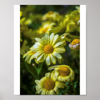 Gelbe Blumen Poster