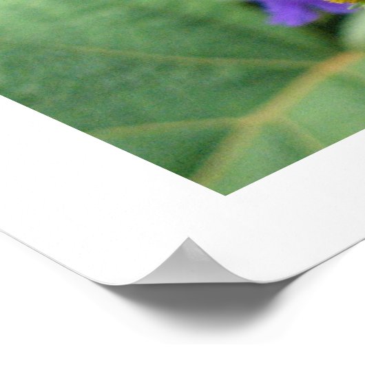 gelbe Blumen Poster (Ecke)