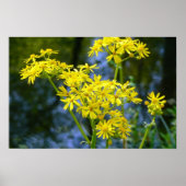 Gelbe Blumen Poster (Vorne)