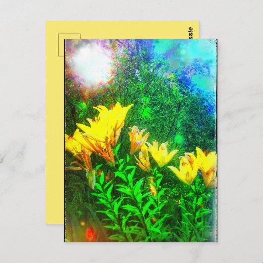 Gelbe Blumen Postkarte (Vorne/Hinten)