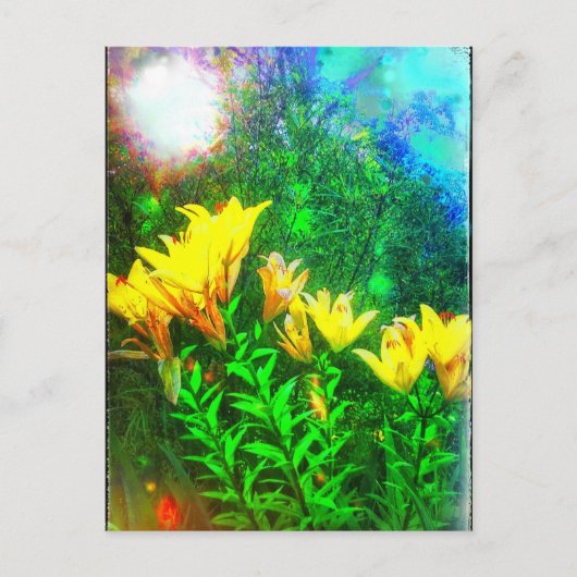 Gelbe Blumen Postkarte (Vorderseite)