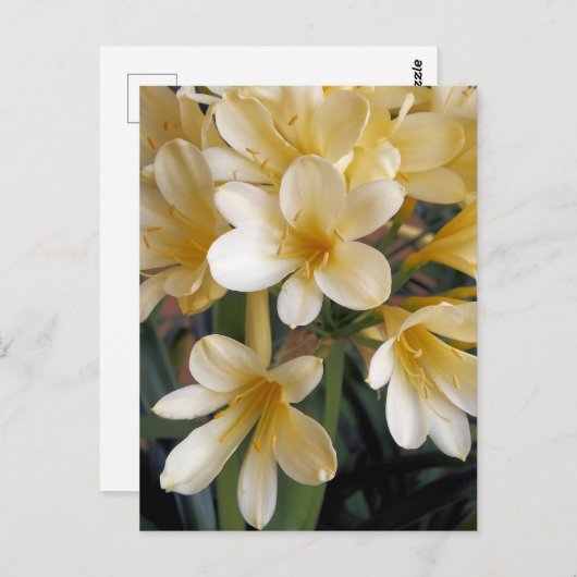 GELBE BLUMEN POSTKARTE (Vorne/Hinten)