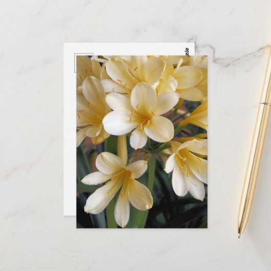 GELBE BLUMEN POSTKARTE (Vorderseite/Rückseite Beispiel)