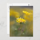 Gelbe Blumen Postkarte (Vorne/Hinten)