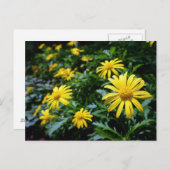 Gelbe Blumen Postkarte (Vorne/Hinten)